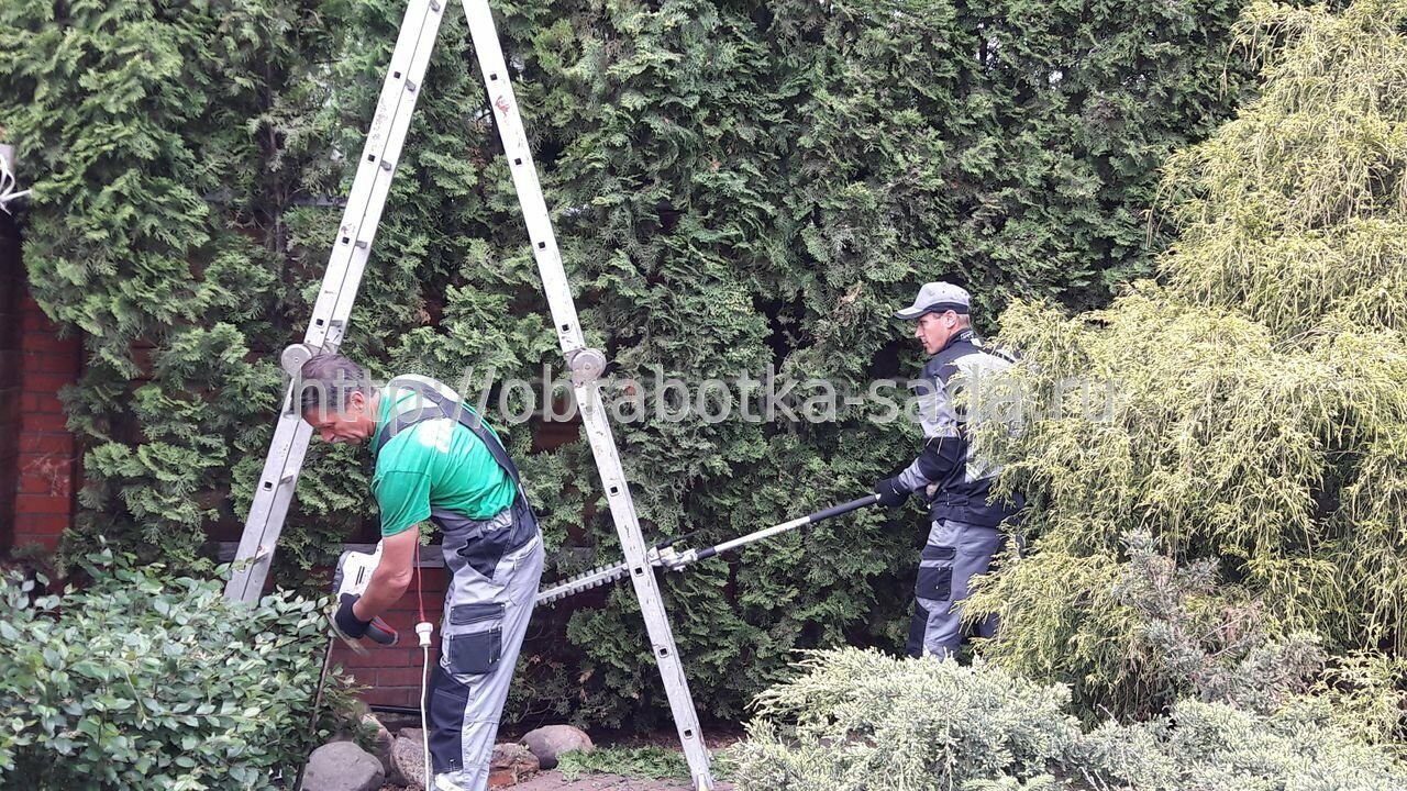 При движении головы появляется боль
